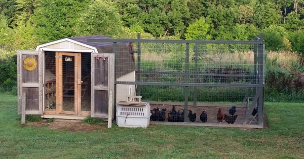 Chicken coop custom shed Milwaukee Illinois